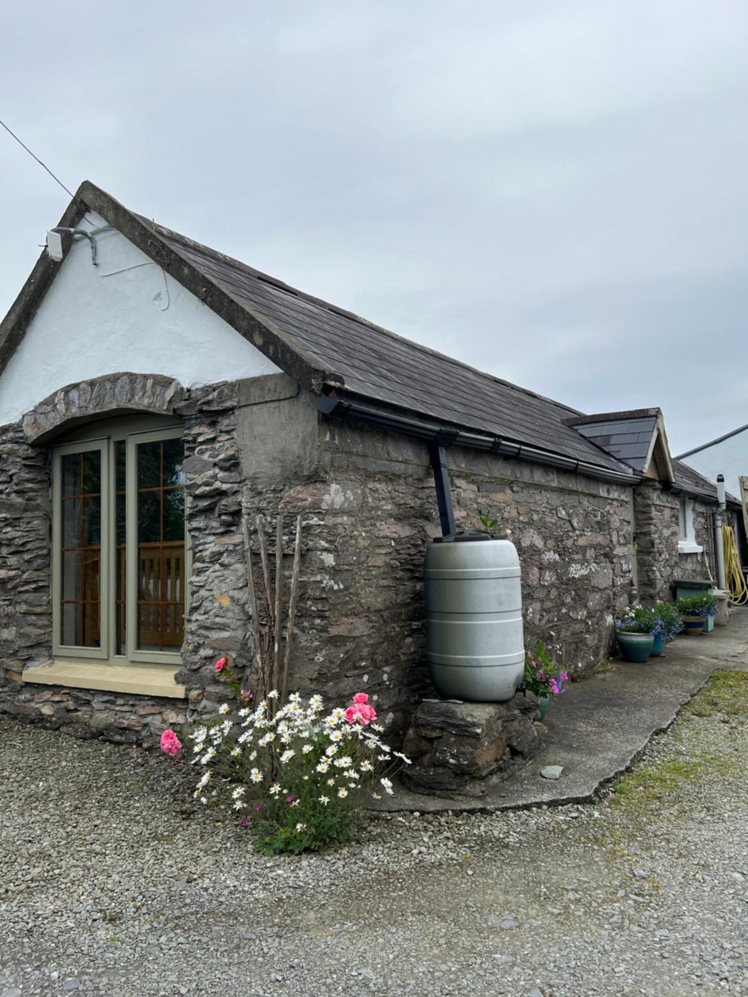 Ancaire Studio Schull Dış mekan fotoğraf